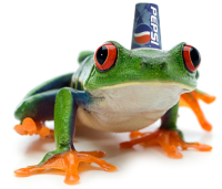 Will you sponsor this frog?