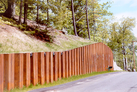 SHEET PILE using BEAMANAL