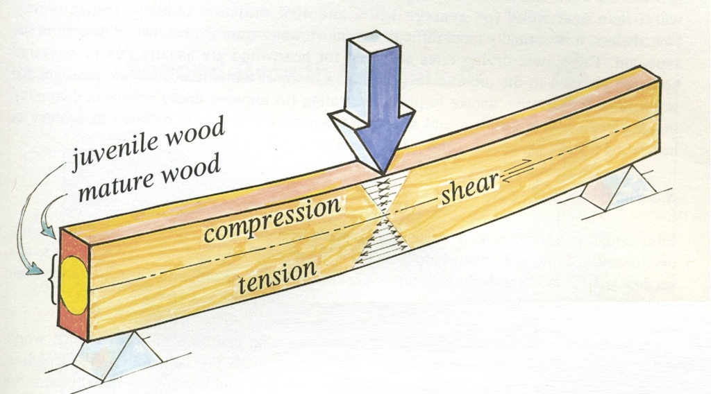 Stresses in Beams - Multiple Scenarios