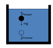 Buoyancy and Drag