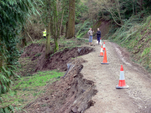 Analysis of a slip on a long natural slope