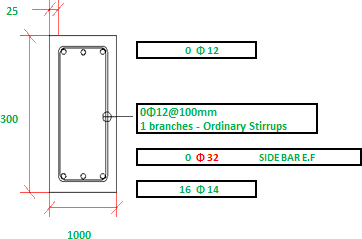 ACI 318-08 Rec Sec. Mx -Q-Torsion Design