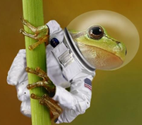 ExcelCalcs Boldly Goes... ExcelCalcs Boldly Goes...